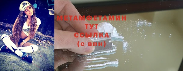 ГАЛЛЮЦИНОГЕННЫЕ ГРИБЫ Дмитриев