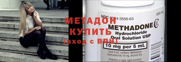 ГАЛЛЮЦИНОГЕННЫЕ ГРИБЫ Дмитриев