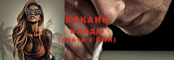 ГАЛЛЮЦИНОГЕННЫЕ ГРИБЫ Дмитриев