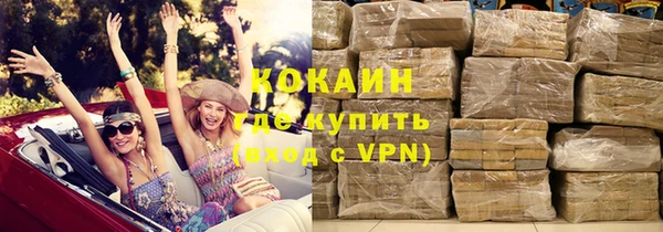 ГАЛЛЮЦИНОГЕННЫЕ ГРИБЫ Дмитриев