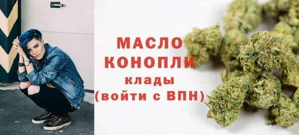ГАЛЛЮЦИНОГЕННЫЕ ГРИБЫ Дмитриев